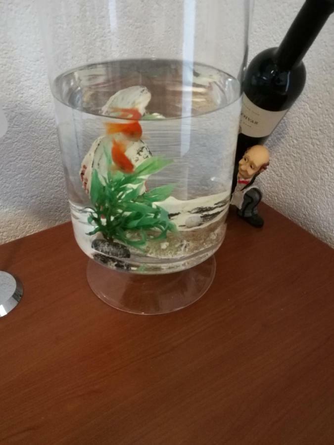דירות ספליט Radun מראה חיצוני תמונה